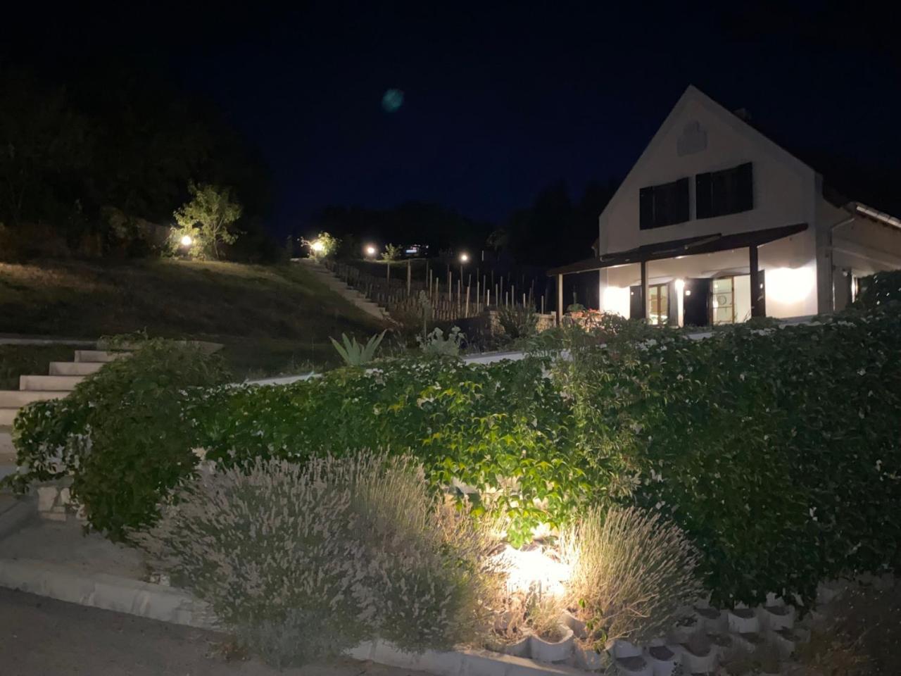 Borbora Borhaz Villa Vászoly Extérieur photo